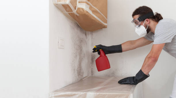 Professional Crawl Space Mold Remediation technician working in Point Pleasant, NJ