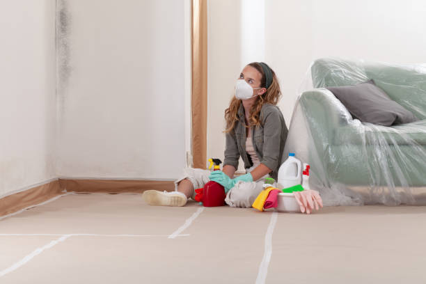 Reliable Crawl Space Mold Remediation contractor in Point Pleasant, NJ by 24 Hour Mold Removal